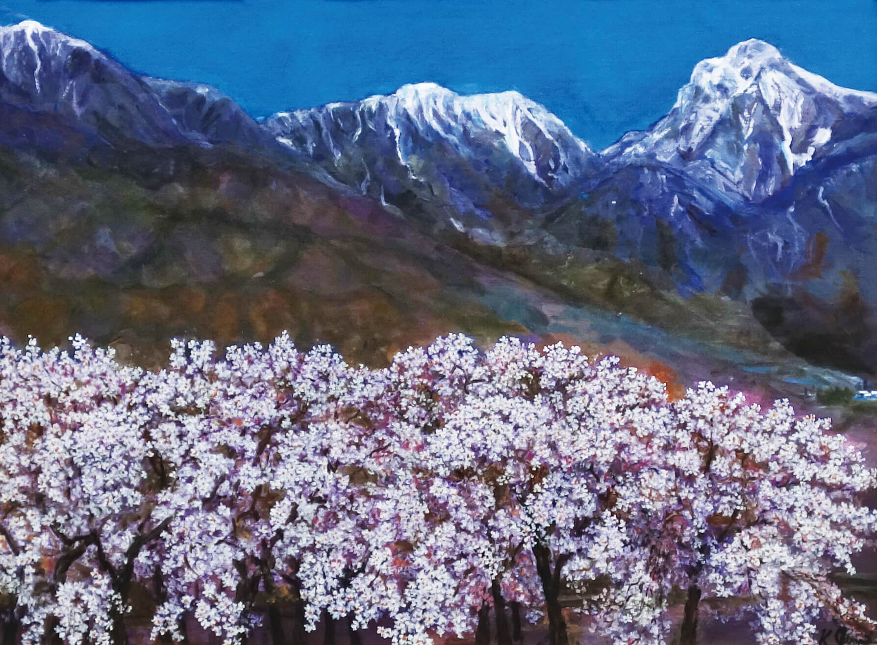No.3源馬和寿桜花甲斐駒ケ岳