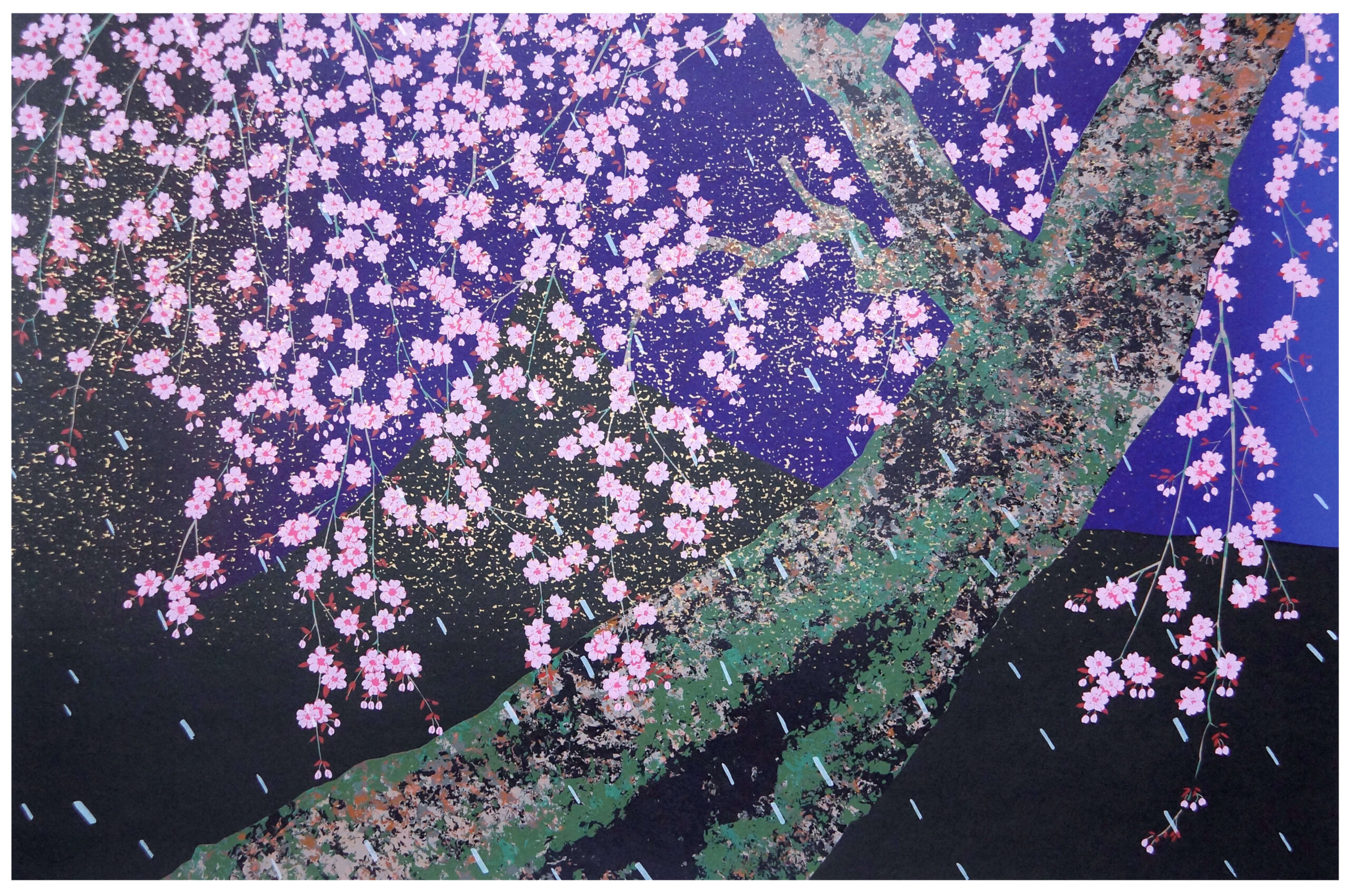 No.6山田 和代_夜桜